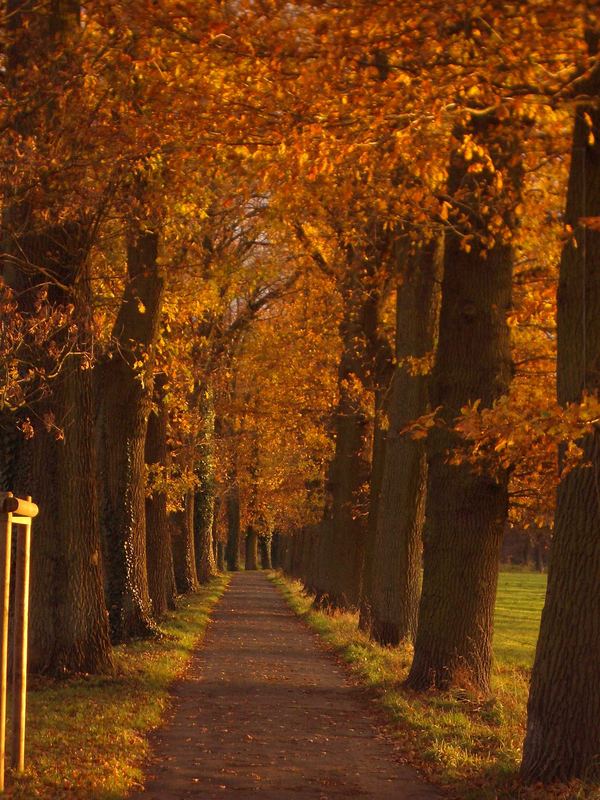 Allee an der Gräfte....