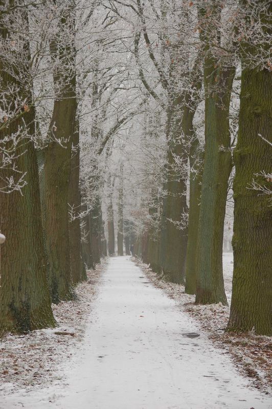 Allee an der Gräfte....