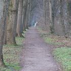 Allee an der Lehmgrube Tegelsee, Wandsbek