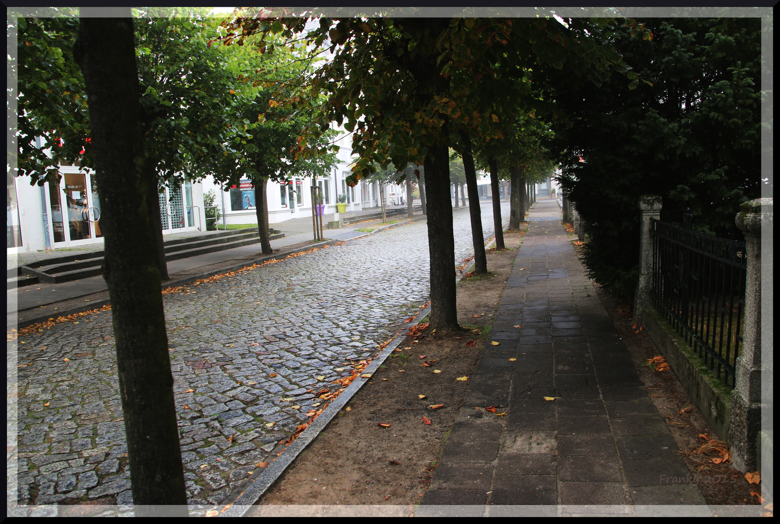 Allee an der (Ost)See