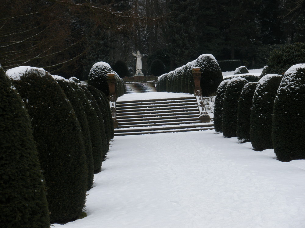 Allee auf dem Friedhof in Hamburg-Ohlsdorf