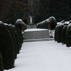 Allee auf dem Friedhof in Hamburg-Ohlsdorf