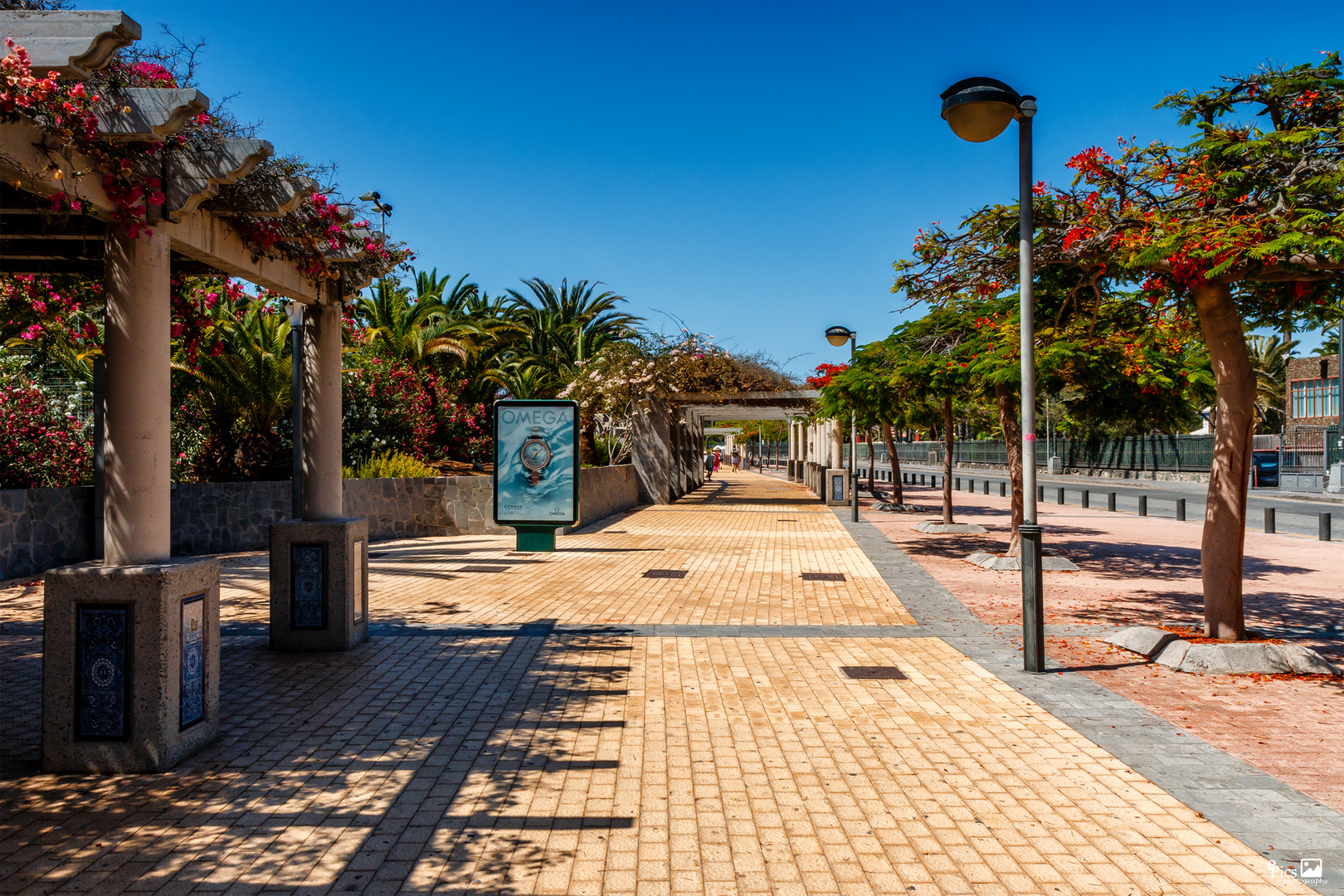 Allee aus Beton und Grün - Kanaren738