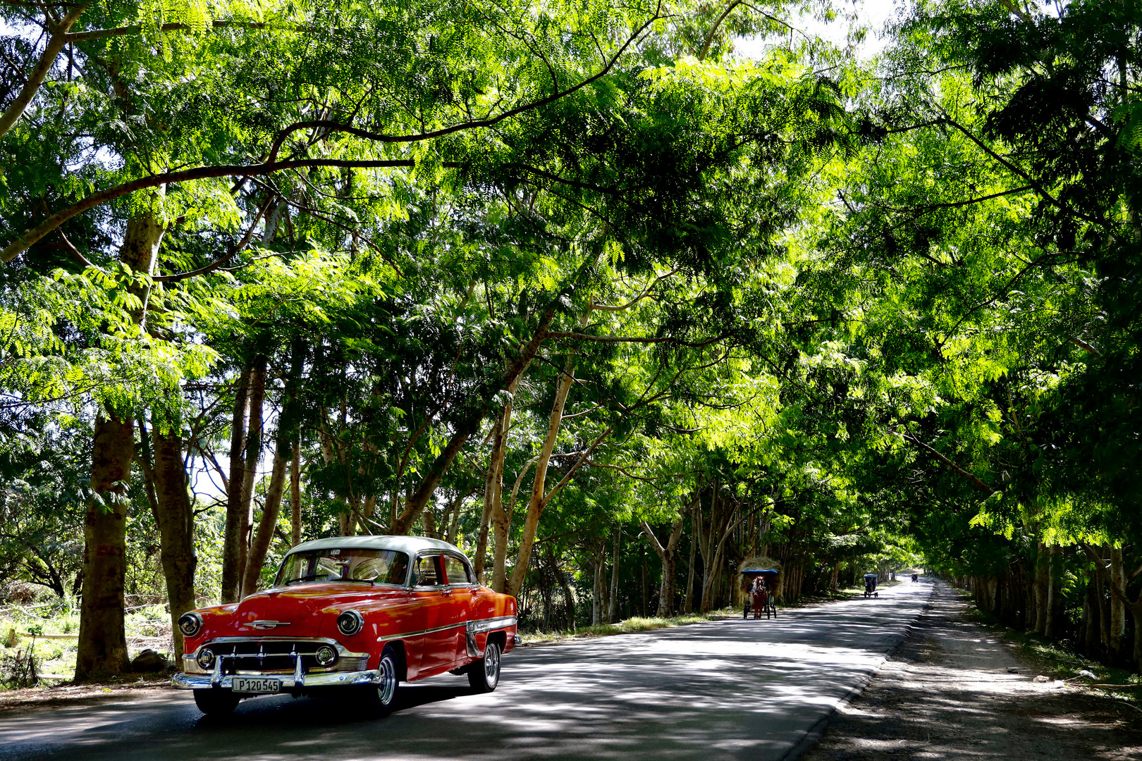 Allee bei Cienfuegos II