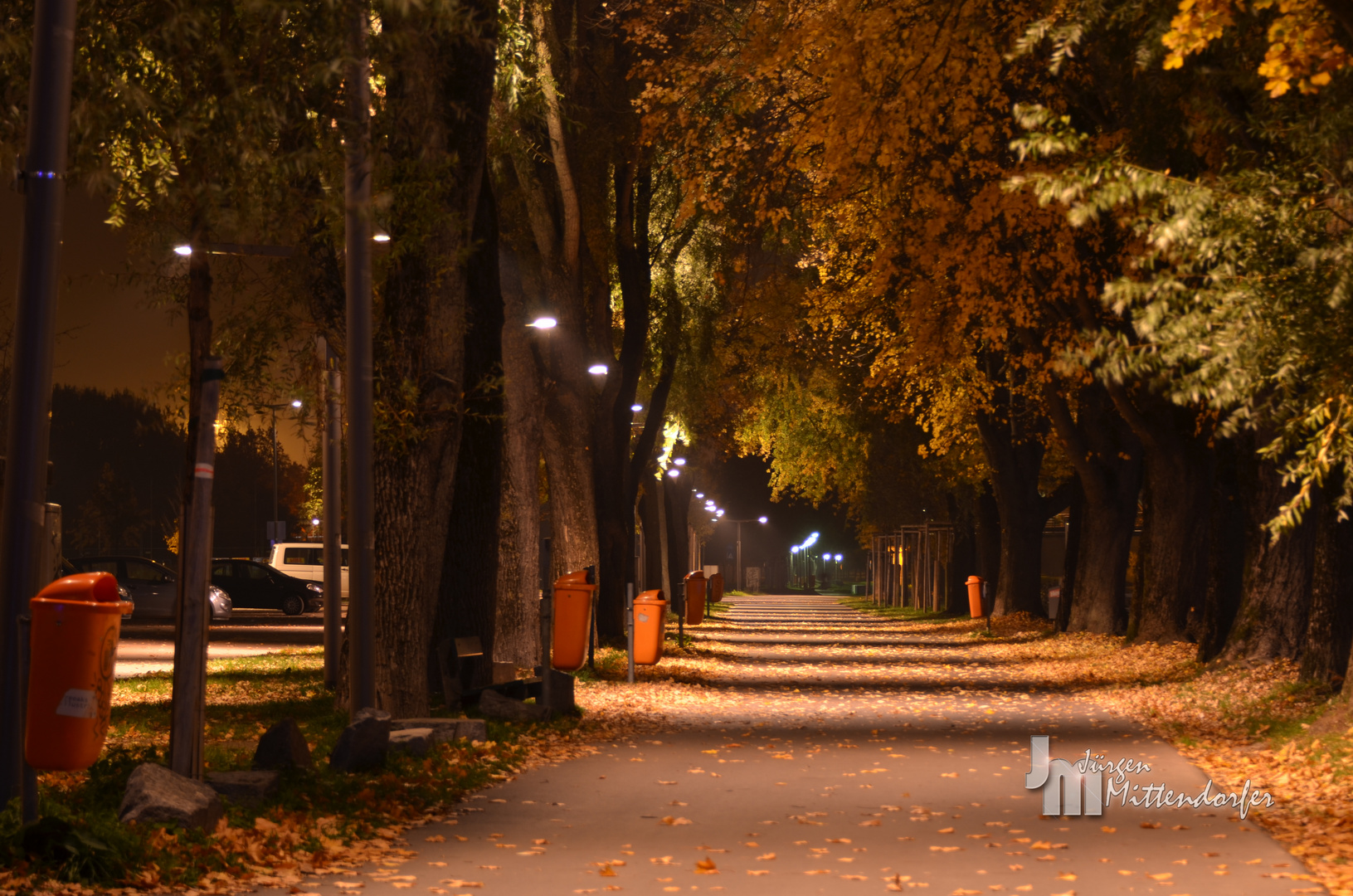 Allee bei Nacht