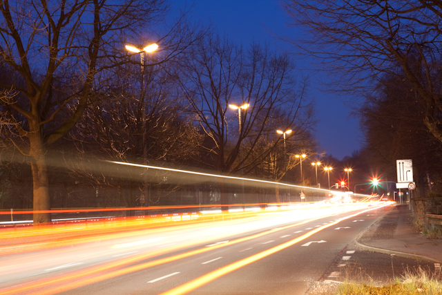 Allee bei Nacht