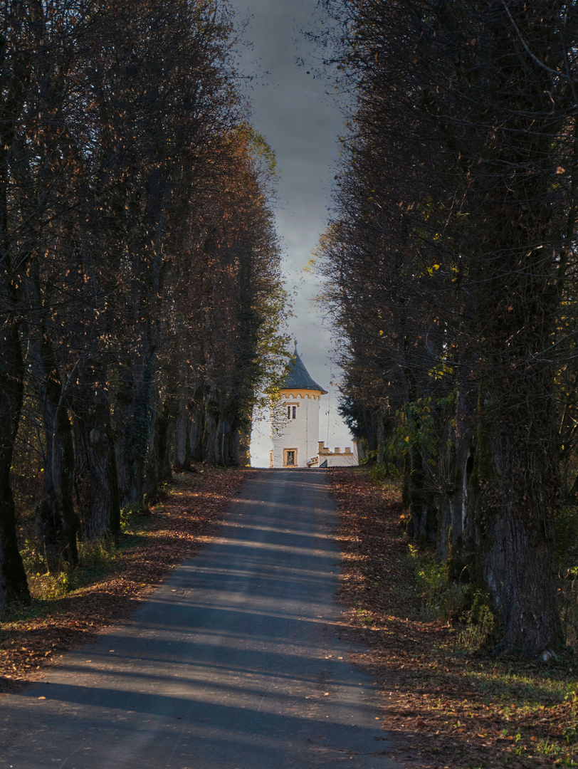 Allee bei Schloss Greifenstein