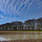 Allee beim Kloster Clarholz