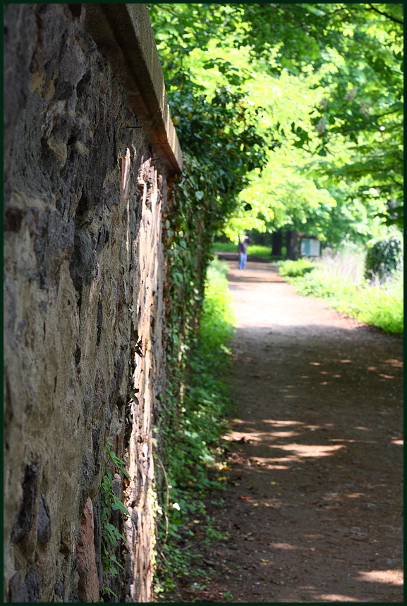 Allee bein Schloss Kranigstein 2