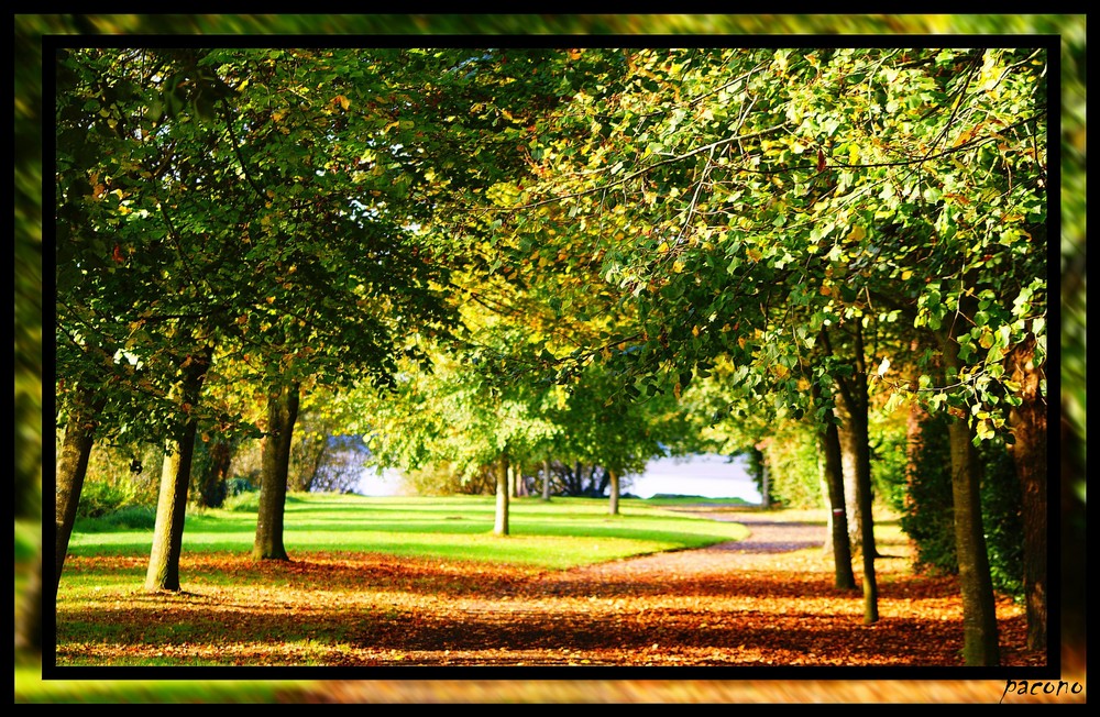 allée d'automne