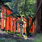 Allee der 10.000 Torii