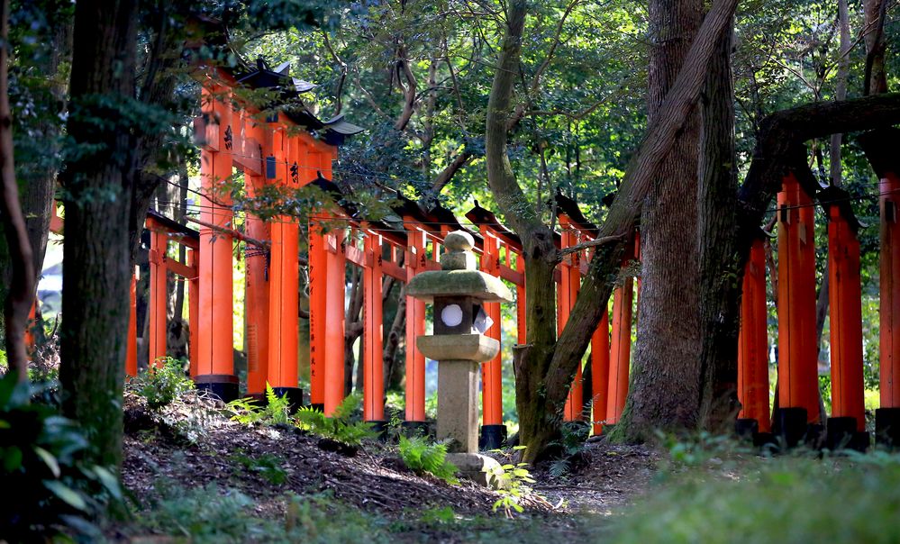 Allee der 10.000 Torii