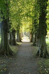 Allee der inneren Einkehr