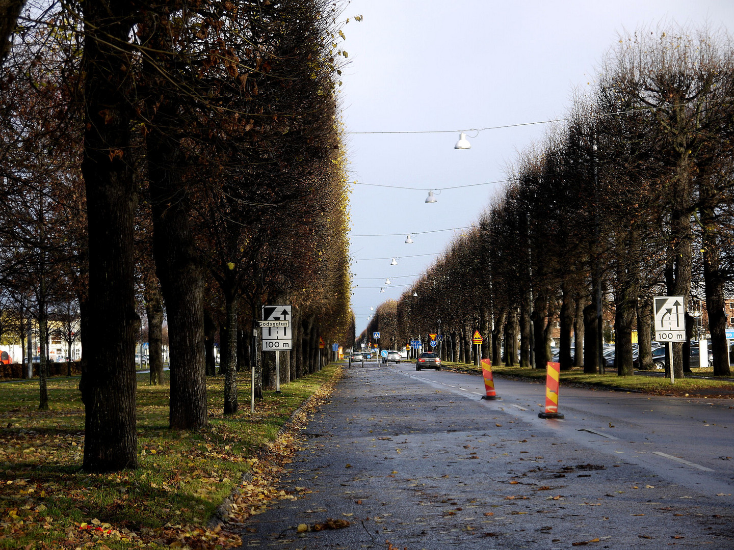 Allee der Linden.........................