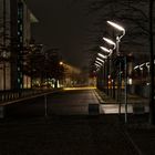 Allee der Volksvertreter bei Nacht ...