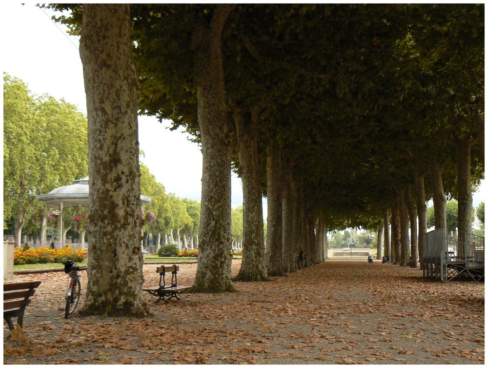 Allée des feuilles mortes