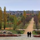 Allee des Glücks