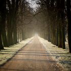 Allee des Haupt- und Landgestüt im Herbst