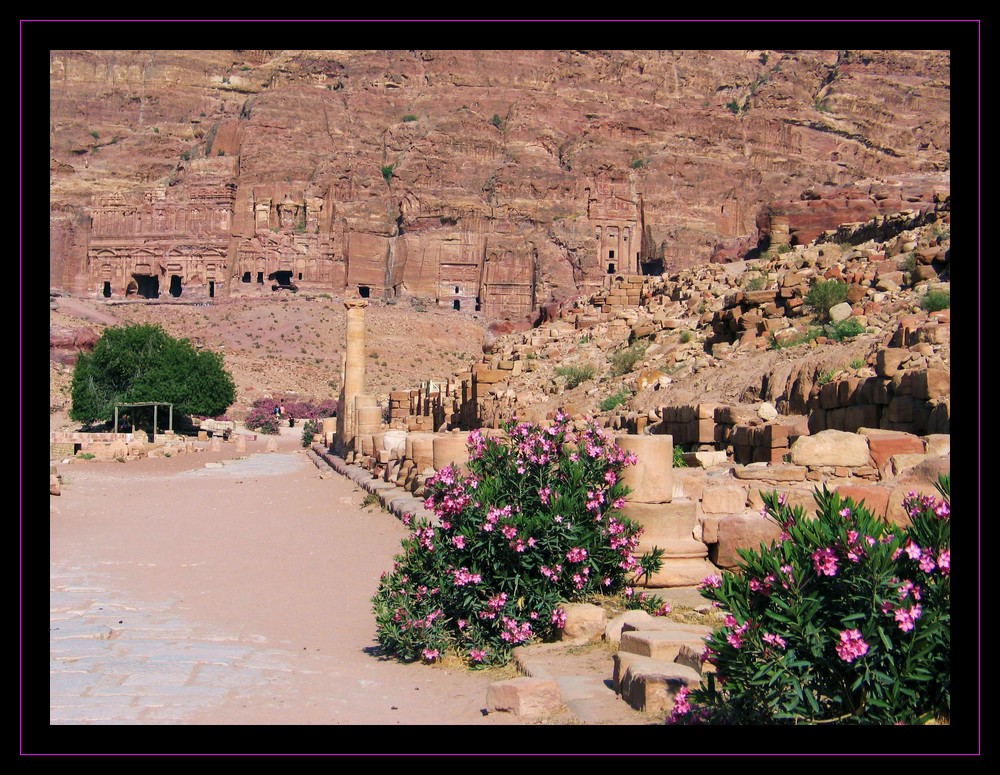 Allée des Lauriers roses (PETRA)