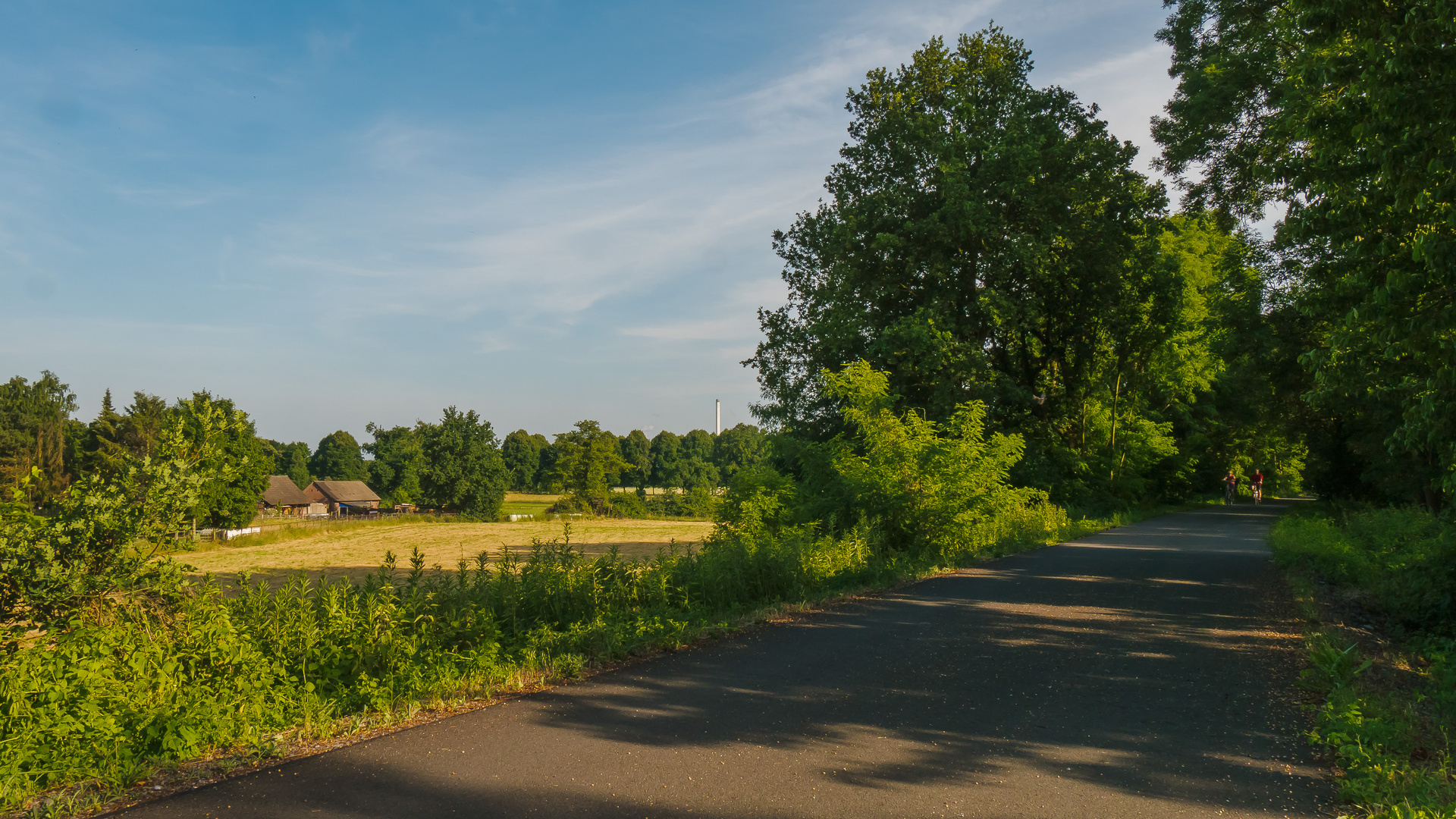 Allee des Wandels (5)