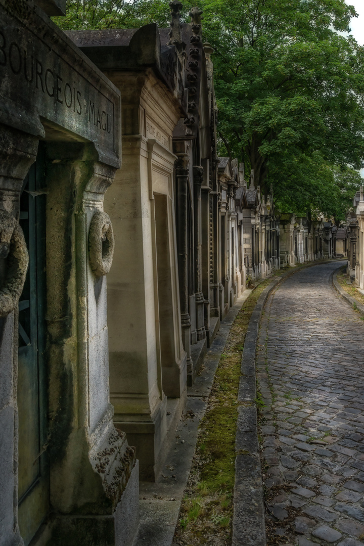 Allée du cimetière du père Lachaise