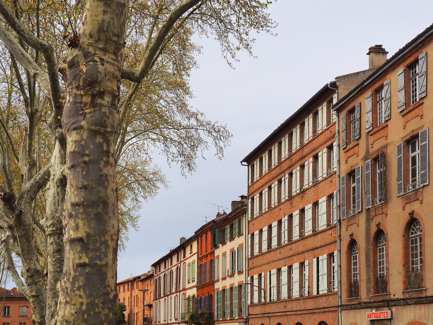 Allée du Consul Dupuy à Montauban