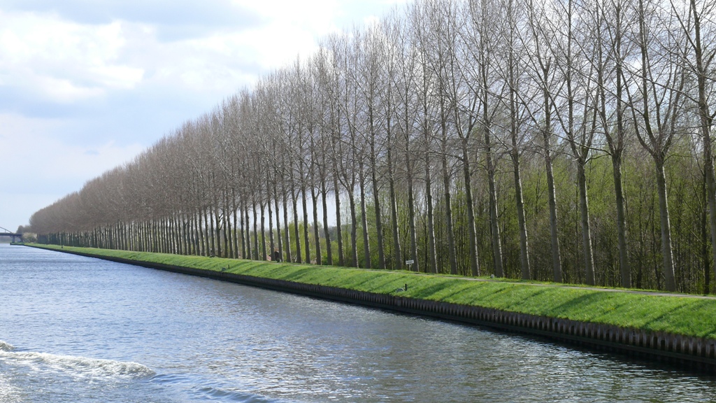 Allee entlang Rheinufer nach Düsseldorf