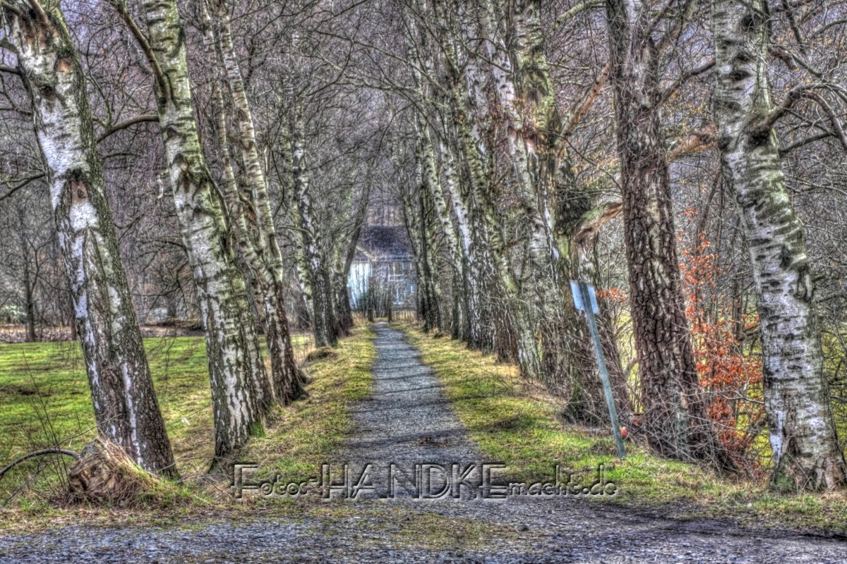 Allee - HDR