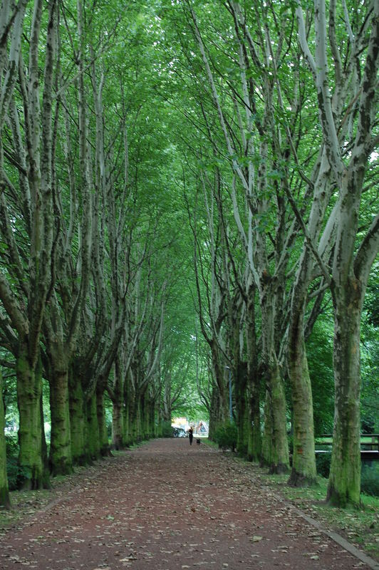 Allee im Emscher Park, Herne - 12.07.07 von MichaGru