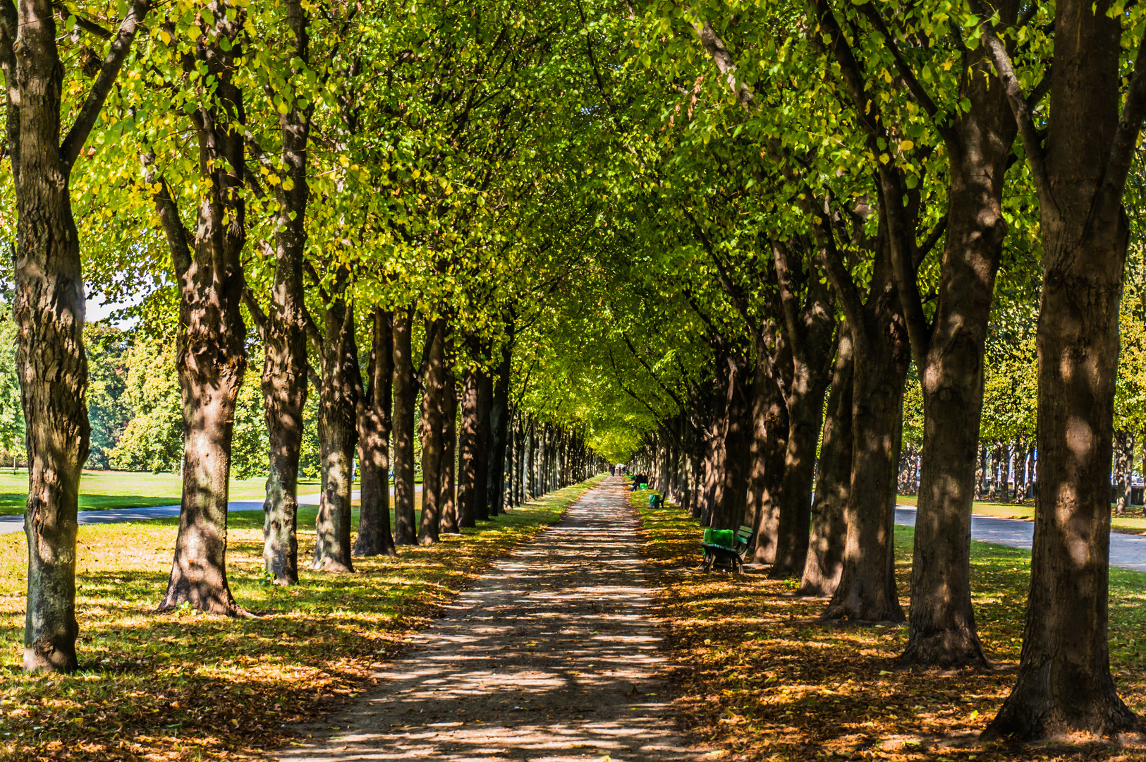 Allee im Georgengarten - Hannover