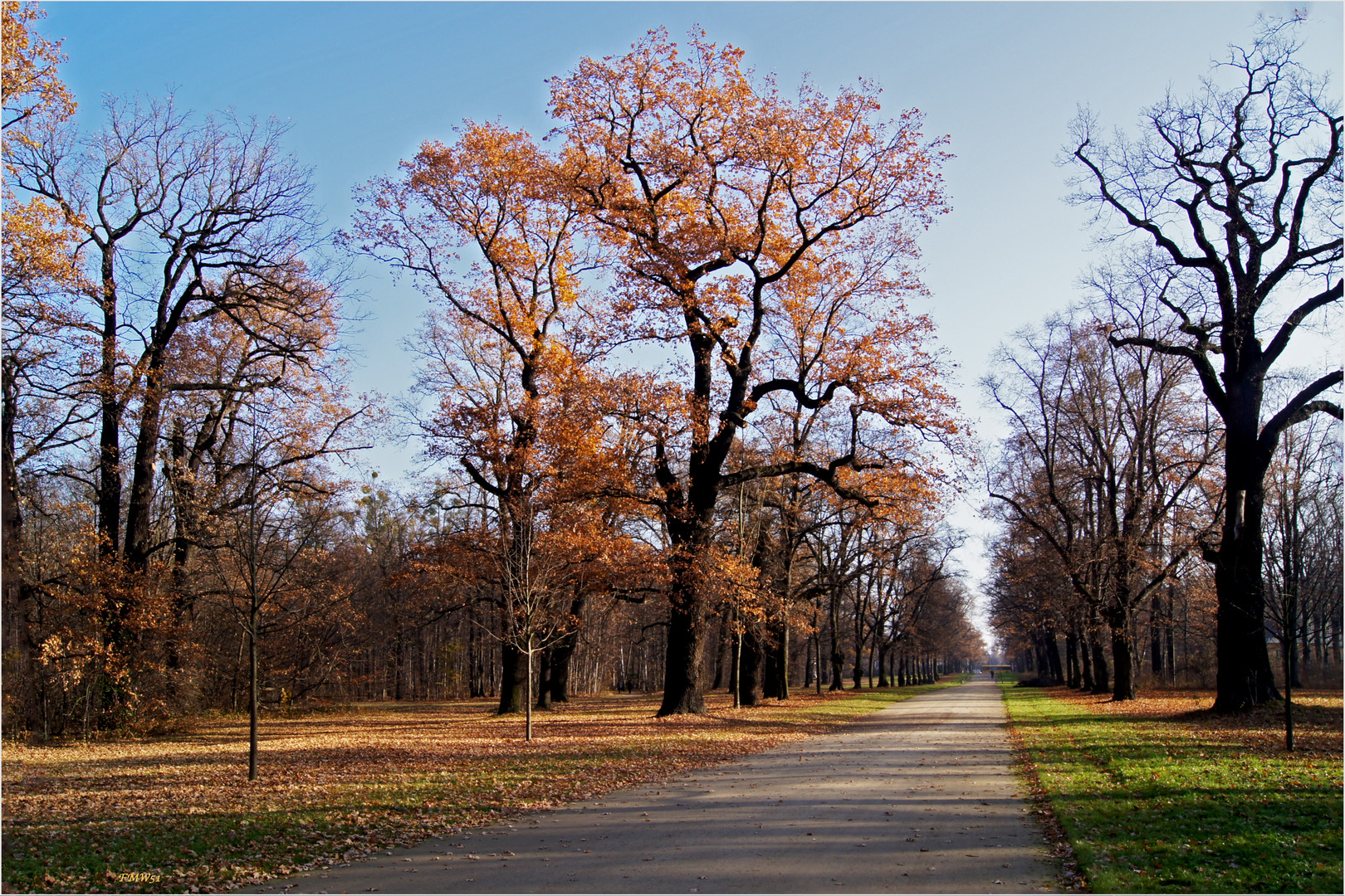 Allee im Großen Garten