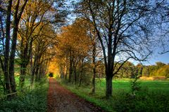 Allee im Herbst