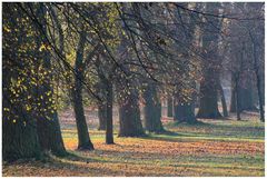 Allee im Herbst