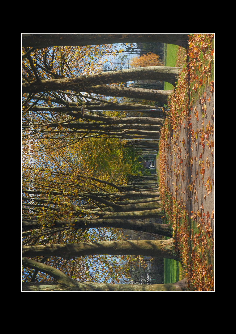 Allee im Herbst