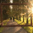 Allee im Herbst