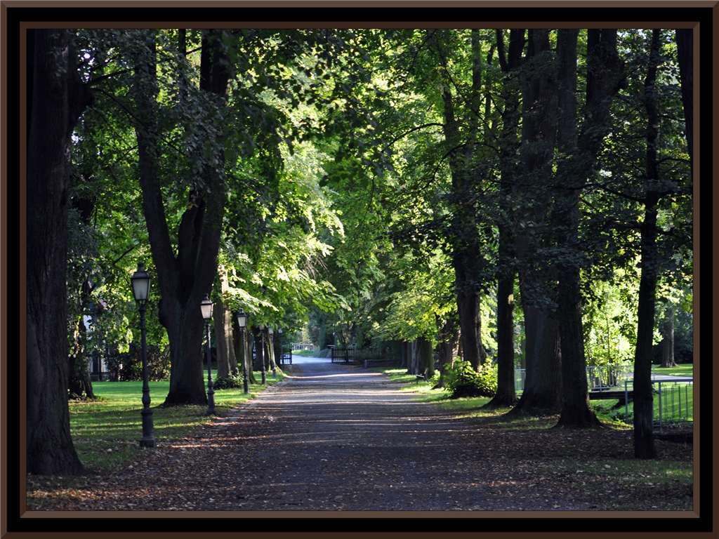 Allee im Herbst