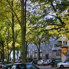 Allee im Herbstgewand