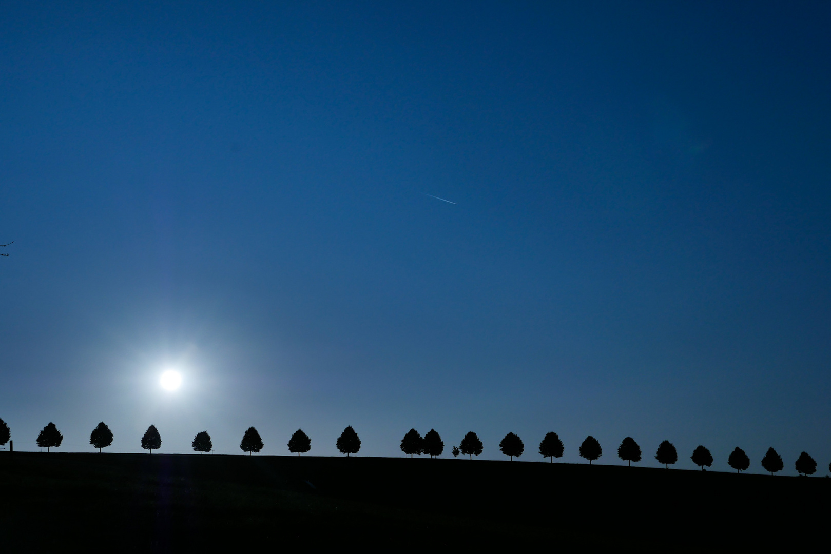 Allee im Morgenlicht 