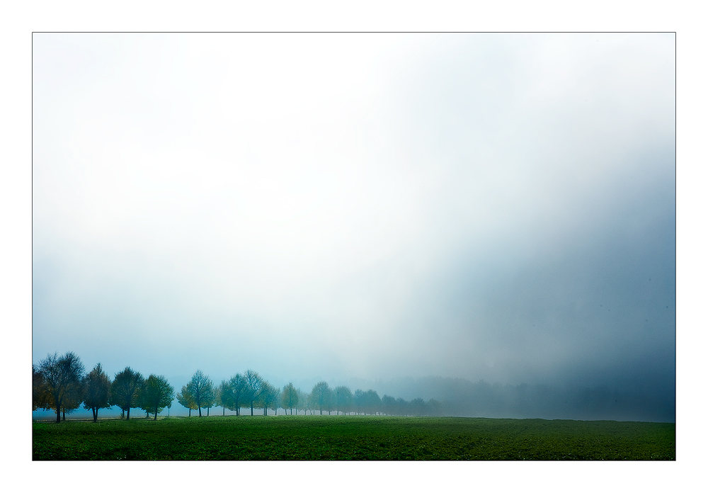 Allee im Nebel