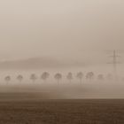 Allee im Nebel