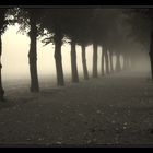 Allee im Nebel