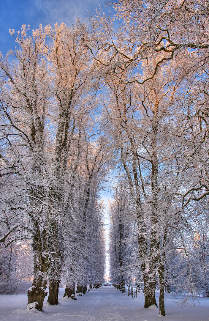 Allee im Park