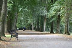 Allee im Rombergpark, Dortmund