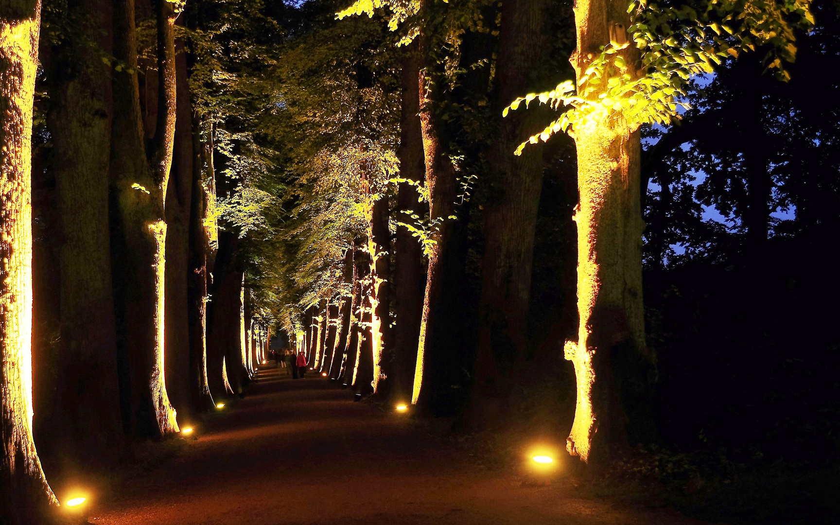 Allee im Schloßgarten Eutin