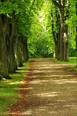 Allee im Schlossgarten Nordkirchen