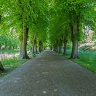 Allee im Schlossgarten von Schloss Bothmer