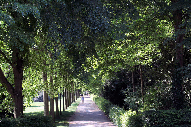 Allee im Schlosspark