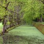 Allée im Schlosspark