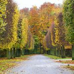 Allee im Schlosspark von Brühl