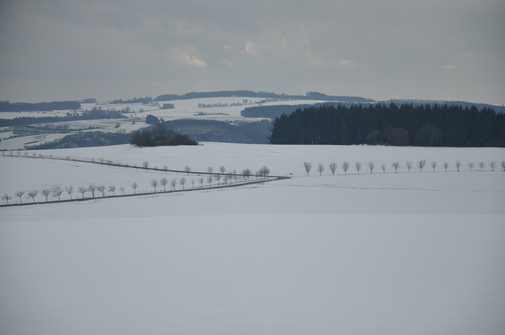 Allee im Schnee